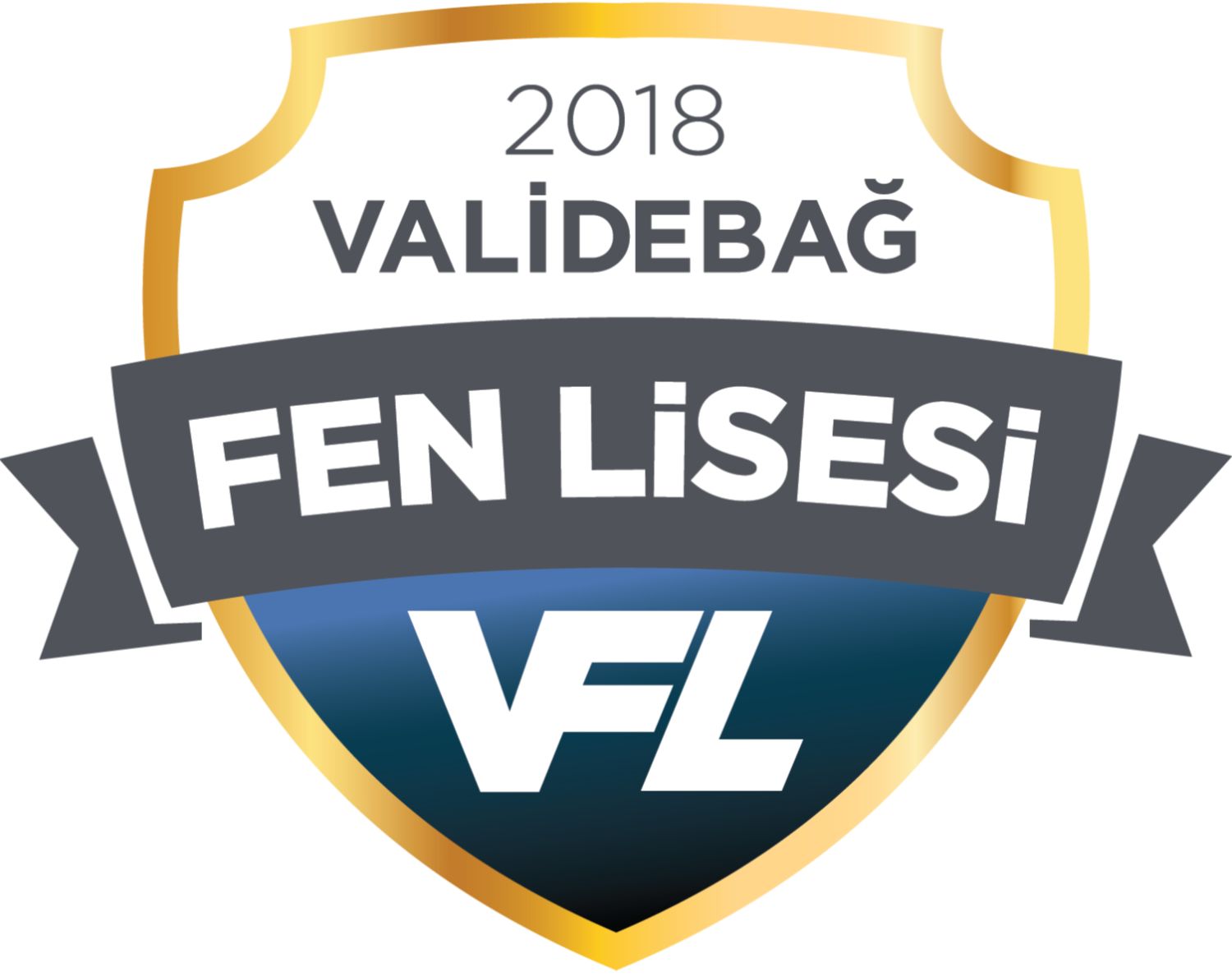 Validebağ Fen Lisesi - Baskılı Arma